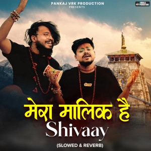 Listen to Mera Maalik Hai Shivaay (Slowed & Reverb) song with lyrics from Pankaj VRK