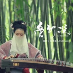 Album 网剧淑女飘飘拳-国风系列 from 厨子和戏子