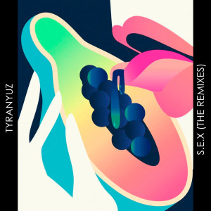 Album S.E.X (Mr. Flamengo Remix) (Explicit) from 
