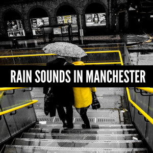ดาวน์โหลดและฟังเพลง Rain in Bowdon พร้อมเนื้อเพลงจาก Rain Sound FX