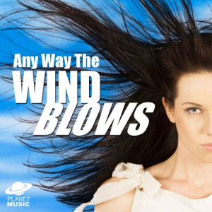 收聽The Hit Co.的Blowing in the Wind歌詞歌曲