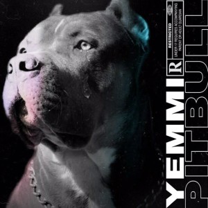 Listen to Pitbull (Explicit) song with lyrics from Yemmi