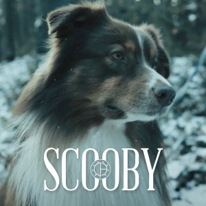 Album Scooby oleh Oliver Olson