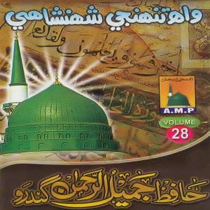 Hafiz Jamil Ul Rehman Gandro的专辑Wah Tunjhi Shehenshahi, Vol. 28