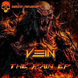 Album THE PAIN from Vein