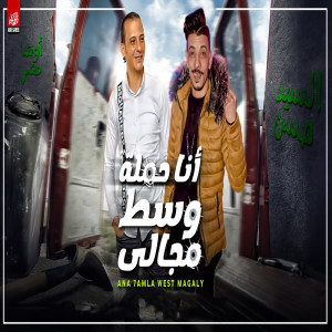Listen to انا حملة و سط مجالى song with lyrics from Elsayed Hassan