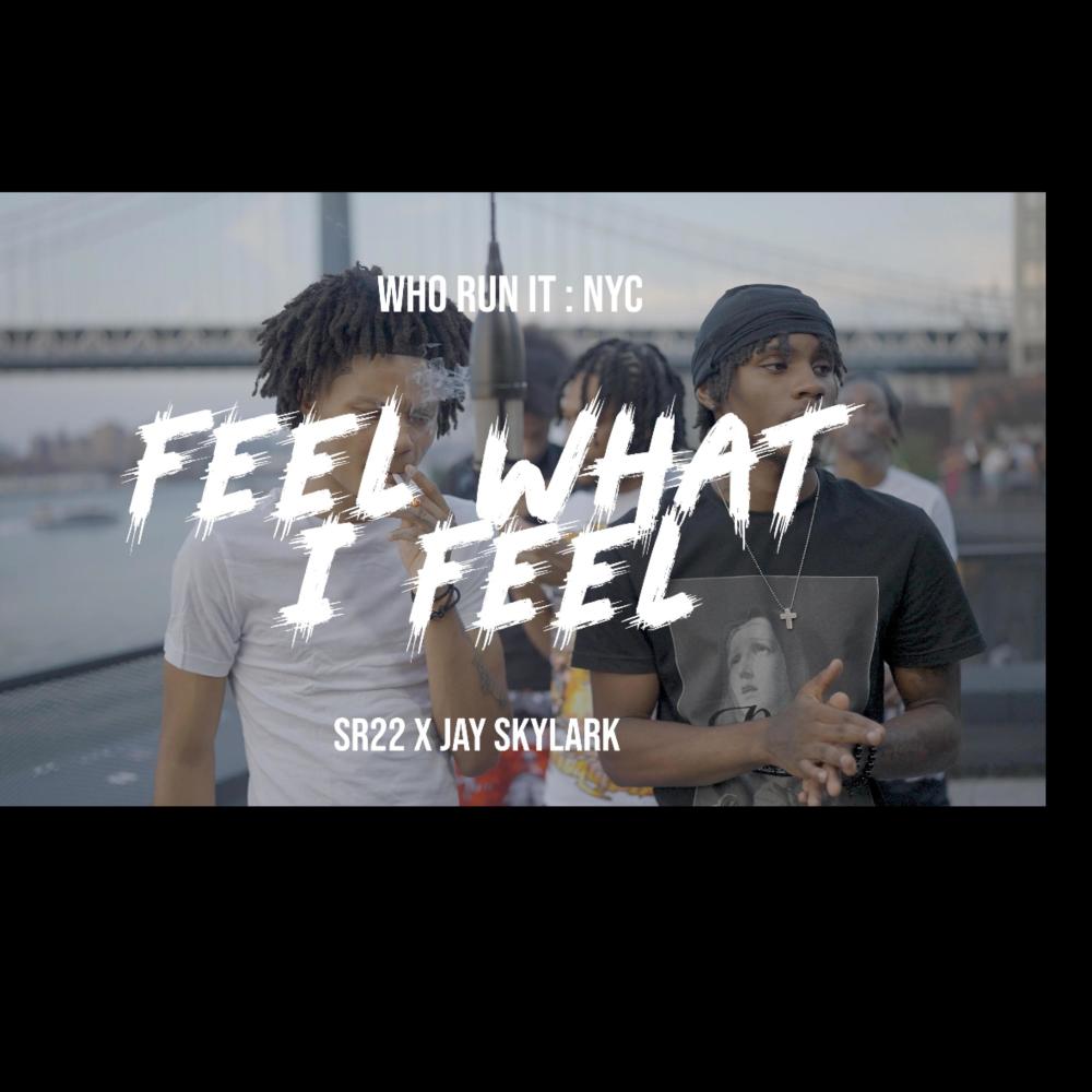 Feel What I Feel (feat. Jayy Skylark) (Explicit)