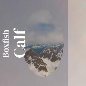 Listen to Damselfish Piano song with lyrics from Mikke Hary
