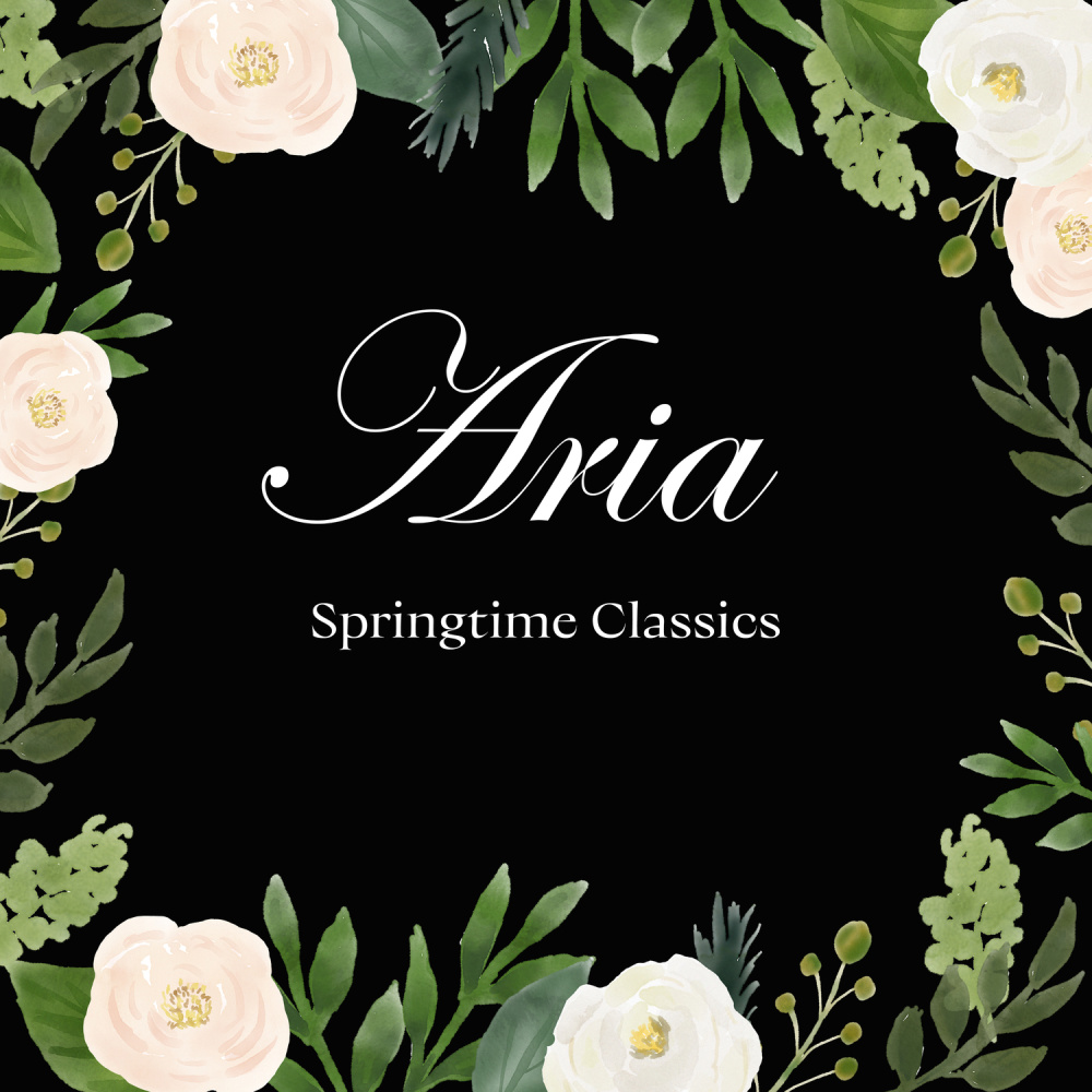 J.S. Bach: Brandenburg Concerto No. 3 in G Major, BWV 1048: II. Adagio