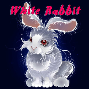 White Rabbits的專輯White Rabbit