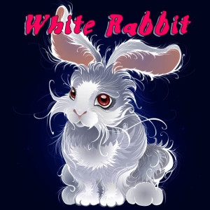 收聽White Rabbit的White Rabbit歌詞歌曲