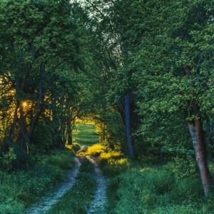 ดาวน์โหลดและฟังเพลง Aku Tahu Siapa Kamu พร้อมเนื้อเพลงจาก Reval