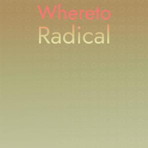 Whereto Radical dari Various