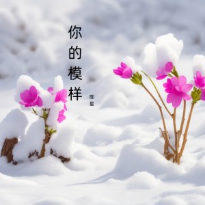 Dengarkan 未知的远方 lagu dari 陈星 dengan lirik