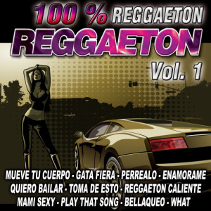 Reggaeton 100 %-Vol. 1