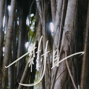 收聽譚杏藍的樹目歌詞歌曲