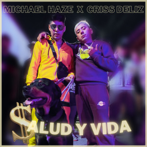 ดาวน์โหลดและฟังเพลง Salud y Vida พร้อมเนื้อเพลงจาก Michael Haze