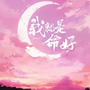 Album 我就是命好（DJ小西版） from 林木乐