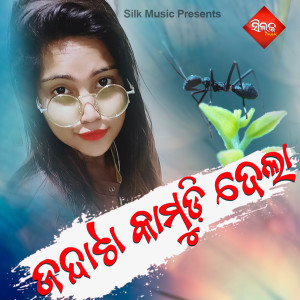 Listen to Tora Dil Jadi song with lyrics from Rajashree