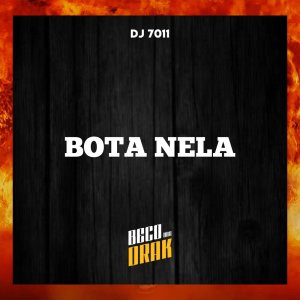 Listen to BOTA NELA (Explicit) song with lyrics from DJ 7011