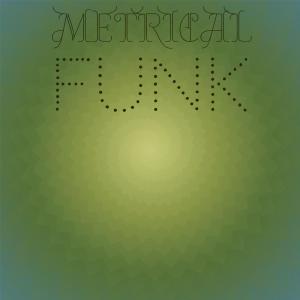Dengarkan Metrical Funk lagu dari Shie Angin dengan lirik