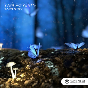 Listen to Rain Forests song with lyrics from RapoNeon