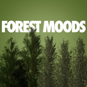 收聽Nature Moods的Birds of the Woods歌詞歌曲