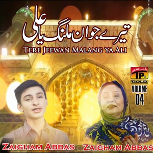ดาวน์โหลดและฟังเพลง Diwani Mastani พร้อมเนื้อเพลงจาก Hub E Zehra