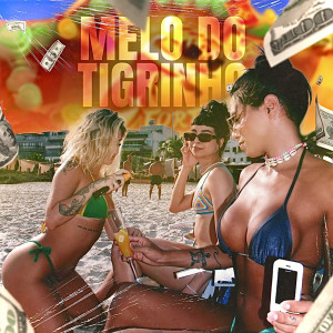 ดาวน์โหลดและฟังเพลง Melo do Tigrinho พร้อมเนื้อเพลงจาก LARAH