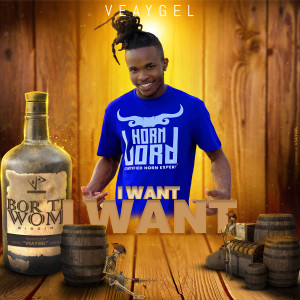 Listen to I Want song with lyrics from Veaygel