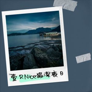 Album 壹只Nice猫深夜日记 oleh Nice