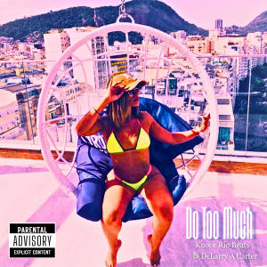 Knock Rio Beats的專輯Do Too Much (feat. DeLarry A Carter) (Explicit)