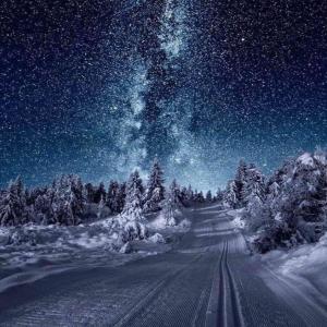 Album Перезимуем oleh Aleksandra