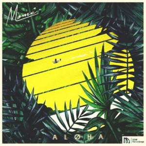 ดาวน์โหลดและฟังเพลง Aloha (The Geeks x Vrv Remix) พร้อมเนื้อเพลงจาก Møme