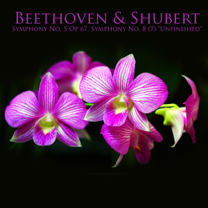 อัลบัม Beethoven & Shubert: Symphony No. 5 Op. 67, Symphony No. 8 (7) "Unfinished" ศิลปิน Royal Philarmonic Orchestra