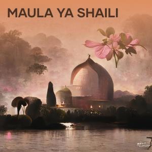 Album Maula Ya Shaili from Editra Tamba