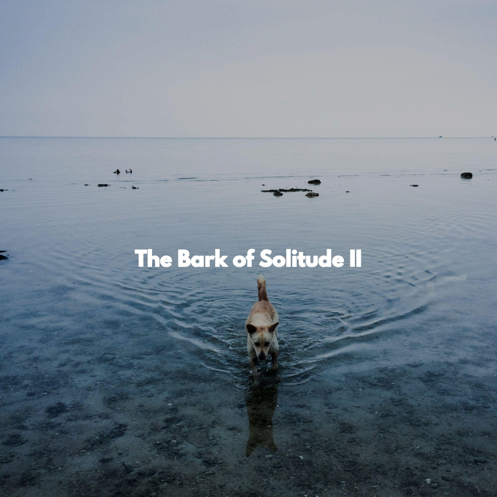 Relaxing Ambiance for Serious Levels
