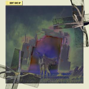 Album Don't Give Up from 