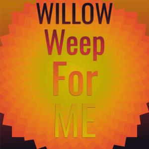 Dengarkan lagu Willow Weep For Me nyanyian Billy Tipton dengan lirik
