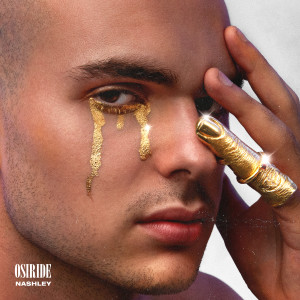 Listen to Perdermi di nuovo (feat. Anna Tatangelo) song with lyrics from Nashley