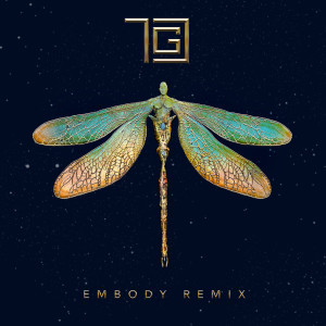 Album Dreamers (Embody Remix) from TGC