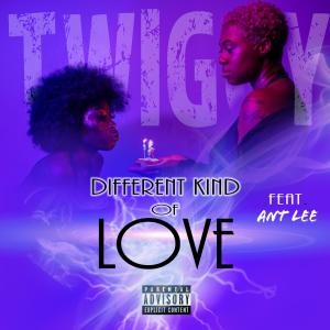 อัลบัม Different Kind of Love (feat. Ant Lee) (Explicit) ศิลปิน Twiggy