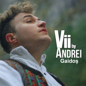 Album Vii from Andrei Gaidoș