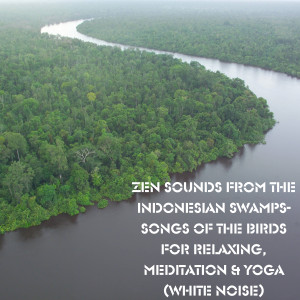 Zen Sounds from the Indonesian Swamps- Songs of the Birds for Relaxing, Meditation & Yoga (White Noise)