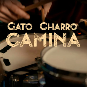 Album Camina from Gato Charro