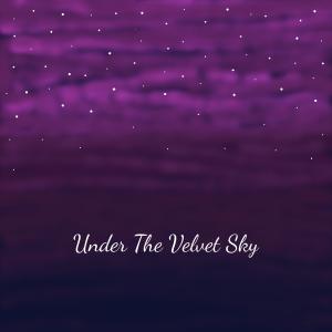 Listen to Under The Velvet Sky song with lyrics from Michael Brent Wilferd