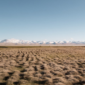 收聽Esteves的Os Fortes Não Choram歌詞歌曲