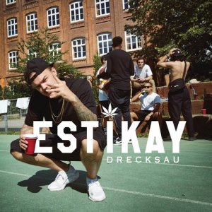 ดาวน์โหลดและฟังเพลง Drecksau พร้อมเนื้อเพลงจาก Estikay