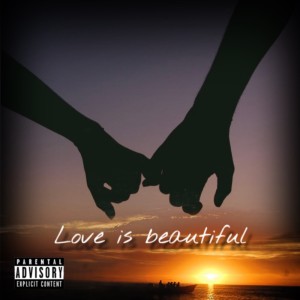 Album Love is beautiful (feat. Flex) from Idex