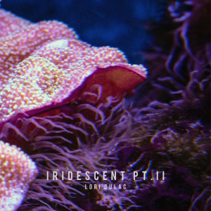 Dengarkan lagu Iridescent pt.II nyanyian Lori Dulac dengan lirik